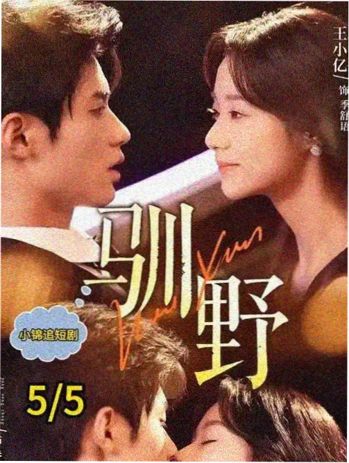 我的解放日志在线观看